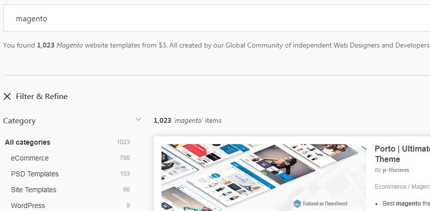 Magento Theme