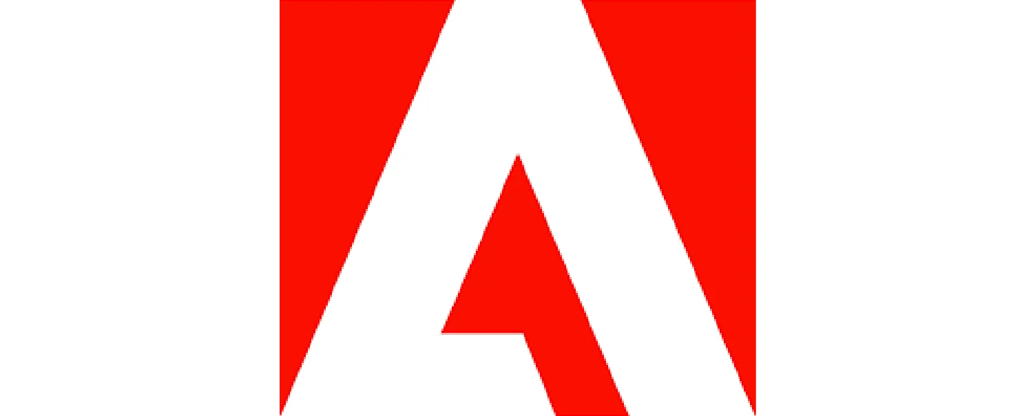 Implementation Partner