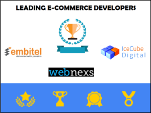 Ecommerce Development Company